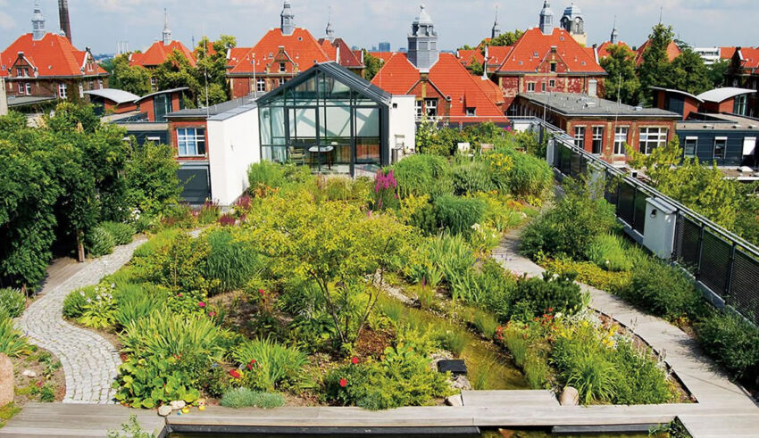 Înverzirea spațiilor urbane prin soluții inovatoare