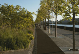 A természet visszatérése a városi tájba: biodiverzitás és a városok jövője