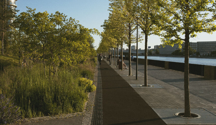 A természet visszatérése a városi tájba: biodiverzitás és a városok jövője