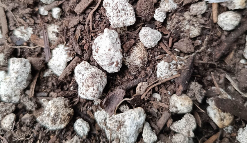 Special substrates: extensive substrate, intensive substrate, Volcano volcanic rocks with high porosity