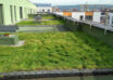 Extensive green roofs at the VIVIDO residential complex – Cluj-Napoca