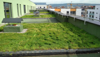 Extensive green roofs at the VIVIDO residential complex – Cluj-Napoca